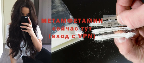 прущие грибы Ельня