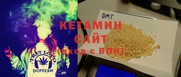 прущие грибы Ельня