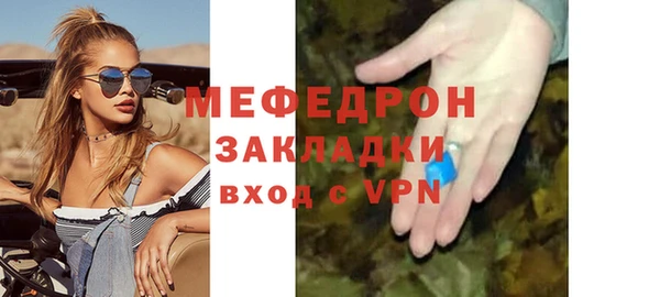 прущие грибы Ельня