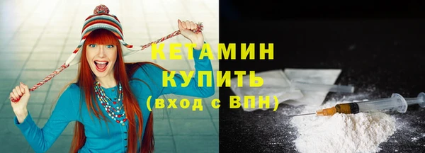прущие грибы Ельня