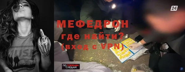 прущие грибы Ельня