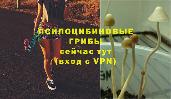 apvp Елабуга