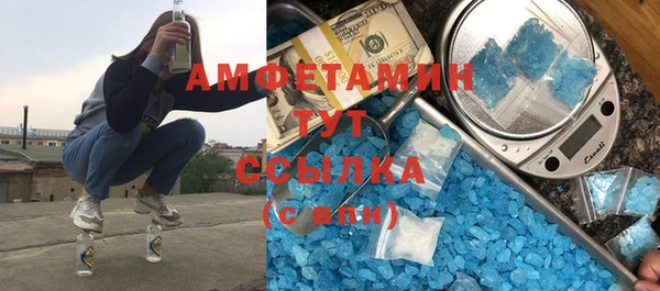 прущие грибы Ельня