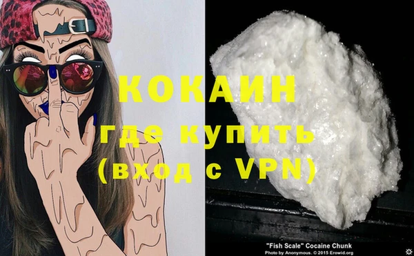 твердый Елизово