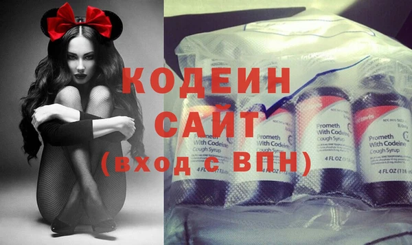 прущие грибы Ельня