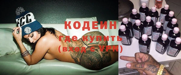 прущие грибы Ельня