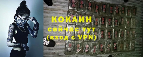 прущие грибы Ельня