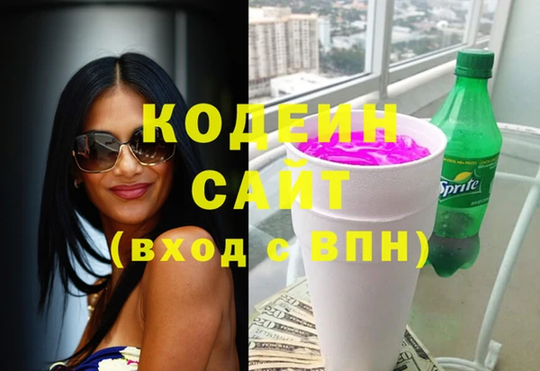 прущие грибы Ельня