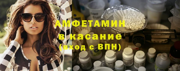 прущие грибы Ельня