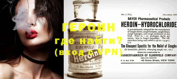 прущие грибы Ельня