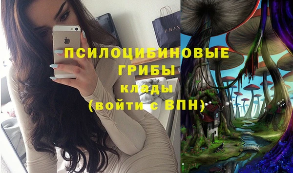 твердый Елизово